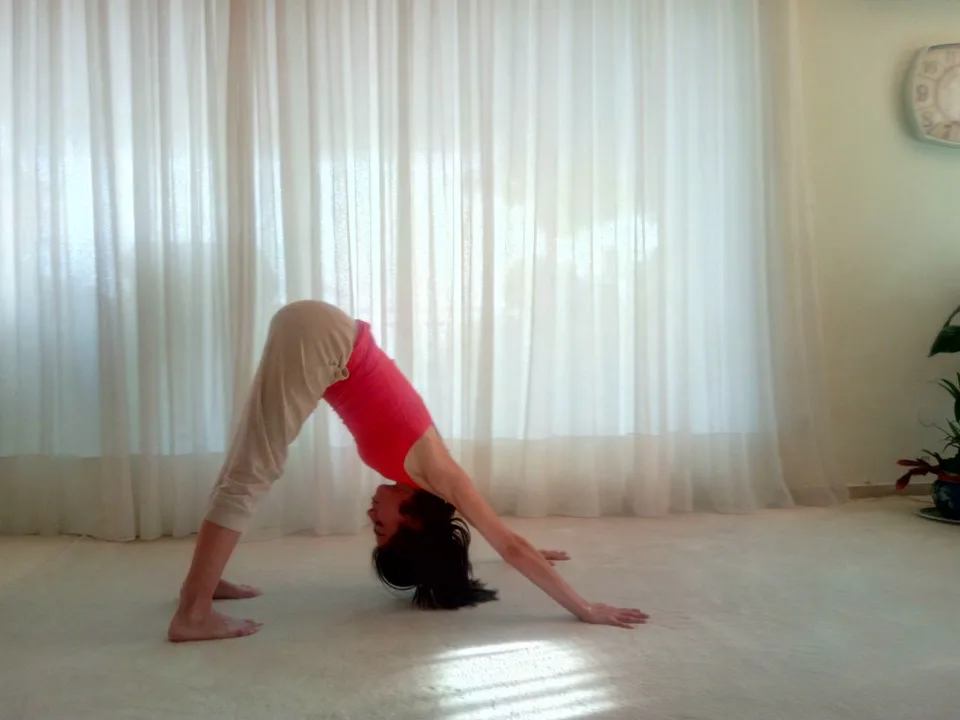 Άσκηση γιόγκα downward dog
